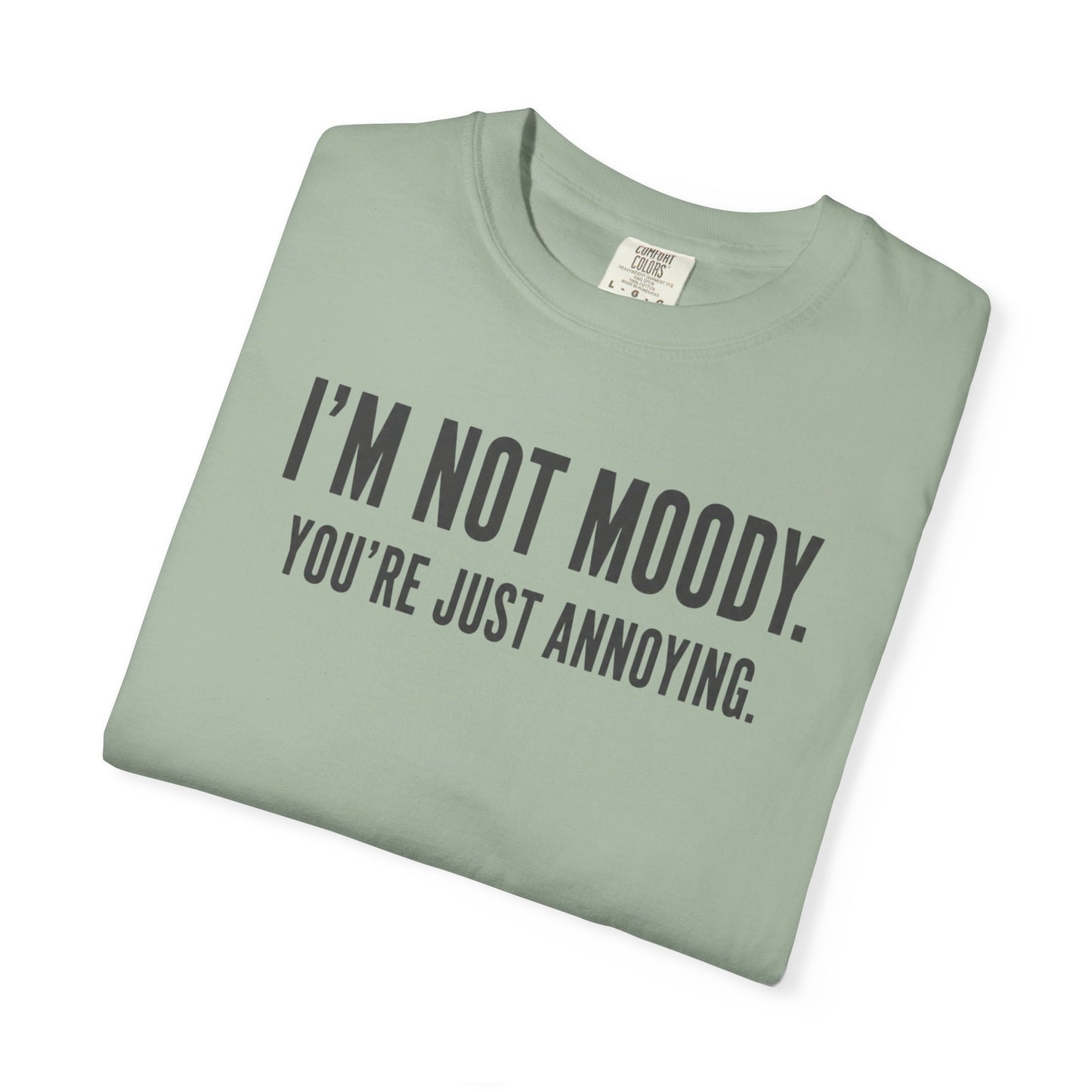 Im Not Moody Youre Just Annoying Tshirt | Funny Sarcastic Quote Tee
