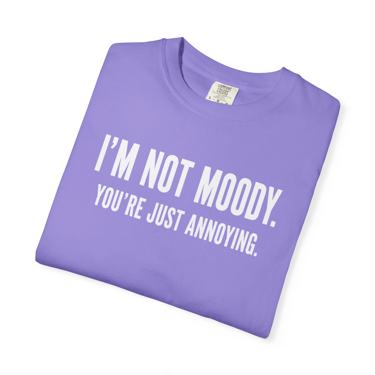 Im Not Moody Youre Just Annoying Tshirt | Funny Sarcastic Quote Tee